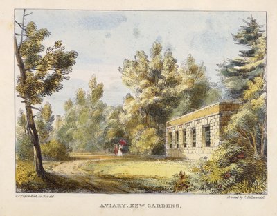 Volière, Kew Gardens, plaat 10 uit Kew Gardens: Een Serie van Vierentwintig Tekeningen op Steen, gegraveerd door Charles Hullmandel (1789-1850) gepubliceerd 1820 door George Ernest after Papendiek