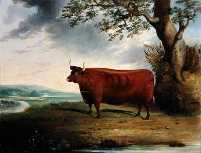 Portret van een bruine koe door George Fenn