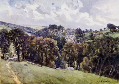 Camelford door George Franck Nicholls