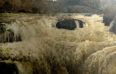 Zalmensprong, Cenarth Watervallen, Cardiganshire, Wales door George Frank Miles