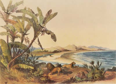 Een reis naar de monding van de Umvoti-rivier in Natal door George French Angas