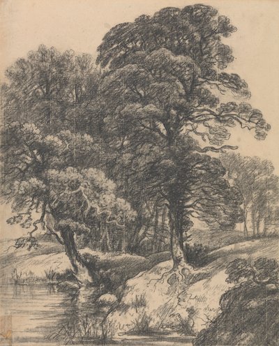 Een Bebost Landschap met Vijver door George Frost