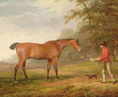 Een bruine hengst benaderd door een staljongen met voedsel en een halster, 1789 door George Garrard