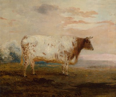 Juno, een Rode Korthoorn Koe in een Uitgestrekt Landschap door George Garrard