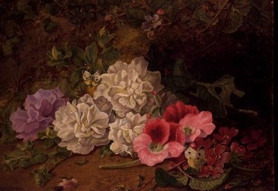 AB/52 Stilleven met vlinders door George Goodman