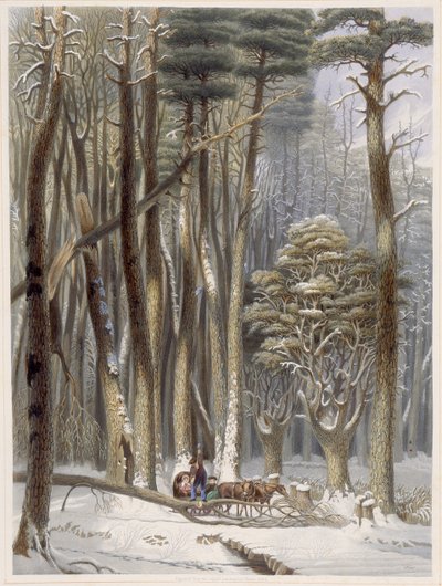 Winter, Belemmerde Reizigers in een Pijnboombos, uit Harveys Scènes van het Primitieve Woud van Amerika door George Harvey