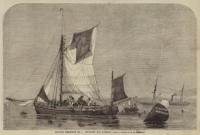 Britse visserijen, nr. 7, wulken vangen door George Henry Andrews