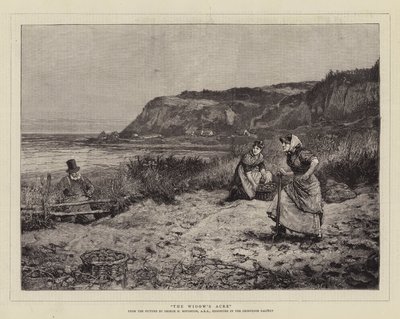 De Akker van de Weduwe door George Henry Boughton