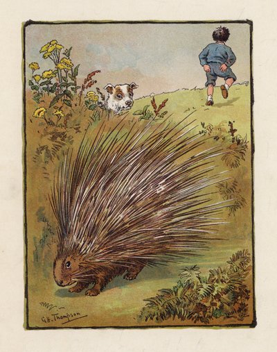 De Stekelvarken door George Henry Thompson