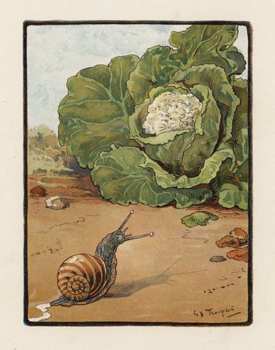 De Slak door George Henry Thompson