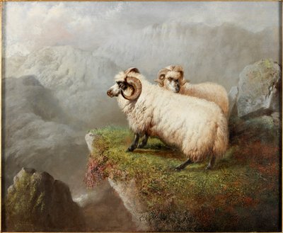 Schapen op een Klifrand, ca.1865-68 door George Hepper