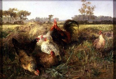 Hoenders in de stoppels door George Hickin
