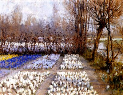 Een krokusveld in de lente, ca.1889 door George Hitchcock