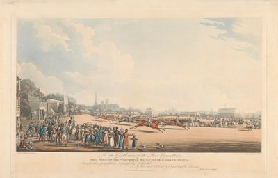 Uitzicht op de Worcester-renbaan en de hoofdtribune door George Hunt