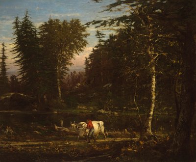 In de Adirondacks door George Inness