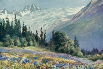 Campanula en Andere Juli Bloemen op de Col Des Montets door George Jackson Flemwell