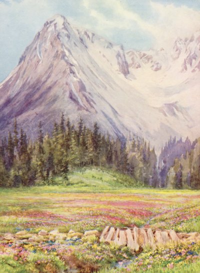 Gentiana verna en Primula farinosa op de lagere velden van Champex eind mei, met een deel van het Saleinaz-massief op de achtergrond door George Jackson Flemwell