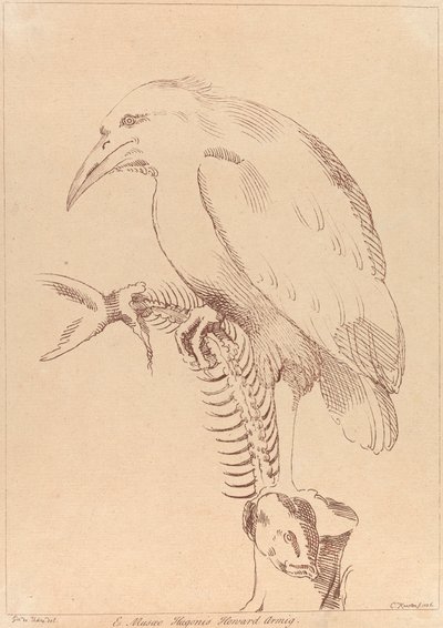 Zonder titel: Vogel met visskelet door George Knapton