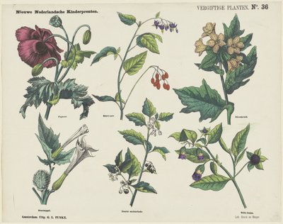Vergiftige planten (Nieuwe Nederlandsche kinderprenten) door George Lodewijk Funke