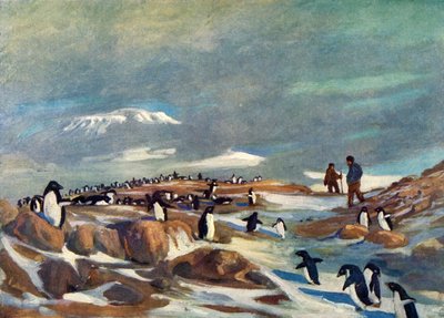 Terugkeer van de Pinguïns door George Marston