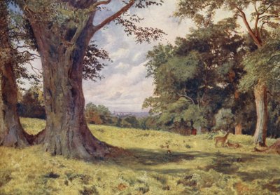 Een open plek in Windsor Great Park door George Moore Henton