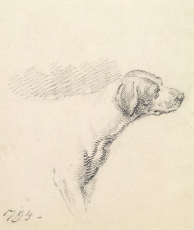 Studie van een hond, 1794 door George Morland