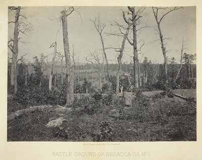 Slagveld van Resacca, GA, Nr. 3, 1866 door George N. Barnard