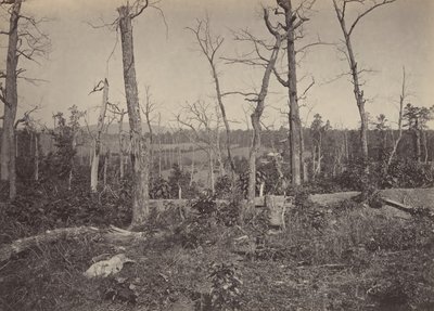 Slagveld van Resacca, Georgia nr. 3, 1860s door George N. Barnard