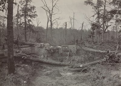 Slagveld van New Hope Church, Georgia, nr. 2, 1865-1866 door George N. Barnard