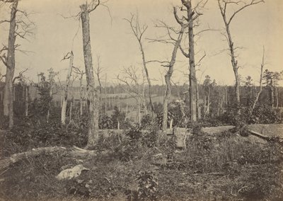 Slagveld van Resaca, Georgia, nr. 3,1864 (foto) door George N. Barnard