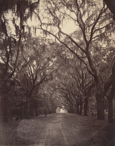 Bonaventure Begraafplaats, vier mijl van Savannah, 1866 door George N. Barnard