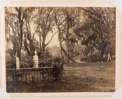 Buen-Ventura, Savannah, Georgia door George N. Barnard