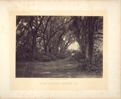 Buen-Ventura, Savannah, Georgia door George N. Barnard