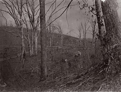 Bull Run, Virginia, 1861-62 door George N. Barnard