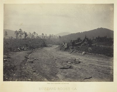 Buizerd Roost, GA door George N. Barnard
