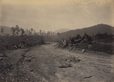 Buizerd Roost, Georgië door George N. Barnard