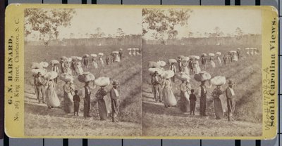 Terugkeer van de katoenvelden in South Carolina door George N. Barnard