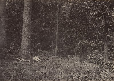 Scène van de Dood van Generaal McPherson, 1864 of 1866 door George N. Barnard
