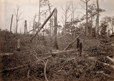 The "Hell Hole", New Hope Church, Georgia, uit Photographic Views of Sherman