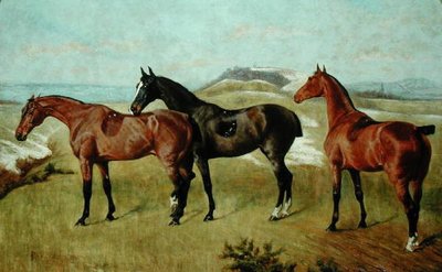 Drie paarden: Whissendine, Swallow en Tiptop door George Paice