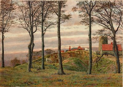 Windmills Hill, Gateshead, 1864 door George Price Boyce