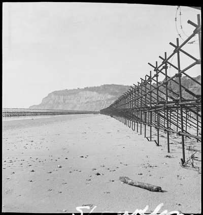 Het strand van Shanklin, met twee rijen Admiraliteitssteigers door George R. Long