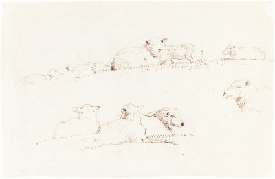 Studies van Schapen in de Weide door George Richmond