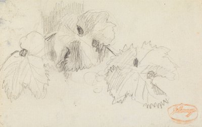 Onderzoek naar bladeren 1 door George Romney