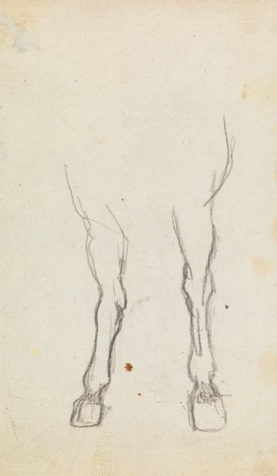 Onderzoek naar de voorbenen van een paard door George Romney