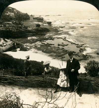 Laag tij bij het Achterstrand, Sorrento, Victoria, Australië, c1909 door George Rose
