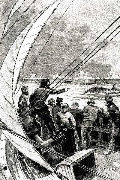 Op zee richting de Pool: de bemanning van een schip (zeilboot) ziet een groep walvissen. Illustratie van de roman door Jules Verne (1828-1905) 