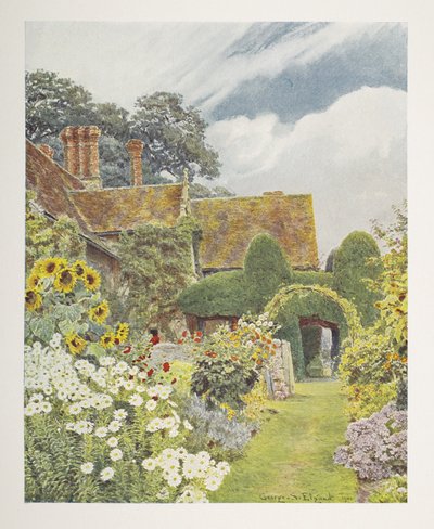 Cleeve Prior, Zonnebloemen, illustratie in 