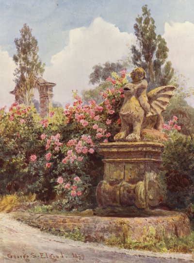 Italiaanse tuinen: Chinese rozen, Villa Imperiali door George Samuel Elgood