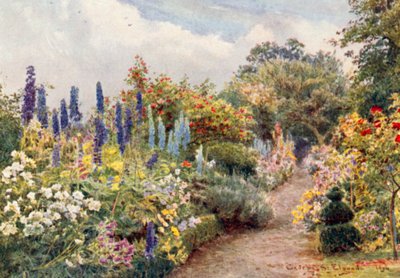 Riddersporen (kleurenlitho) door George Samuel Elgood